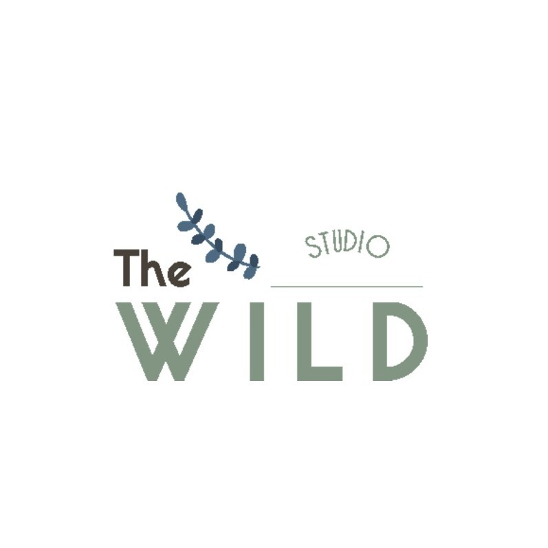 The WILD Studio